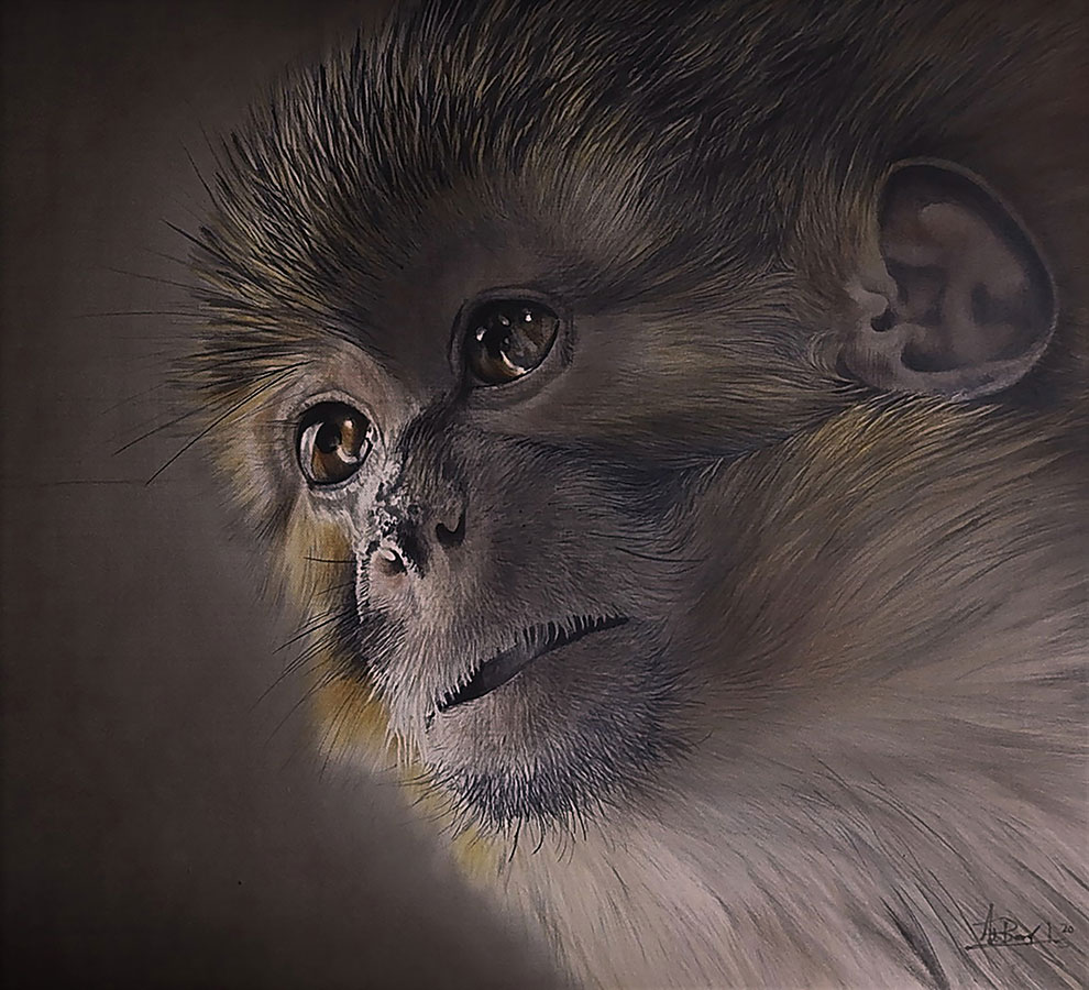 ABADIE 02-Kenya-et-Queen-01