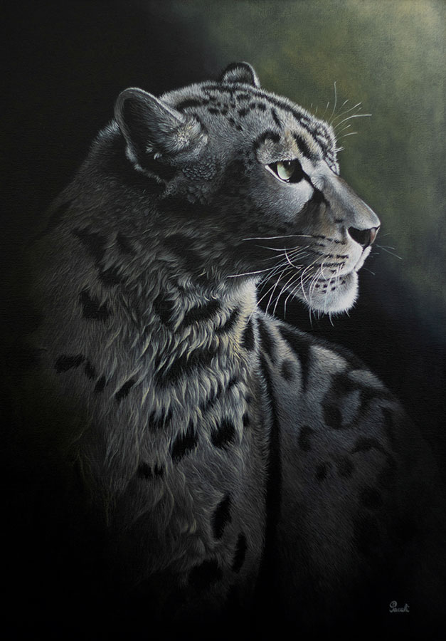 BOSSEAUX 01-pattes-de-velours-01-HD