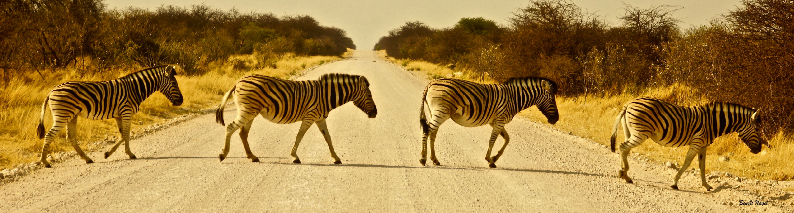 NAGEL 01-Abbey-Road-en-Namibie-01-HD
