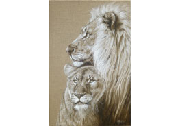 ABADIE 02-Kenya-et-Queen-01_th