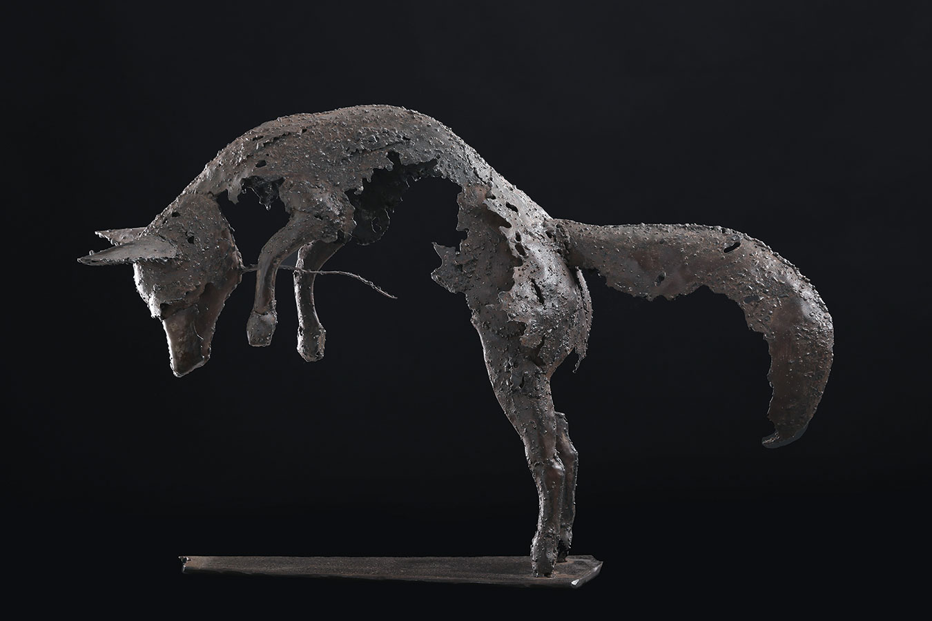 CHESNEAU 01-Renard-01-HD