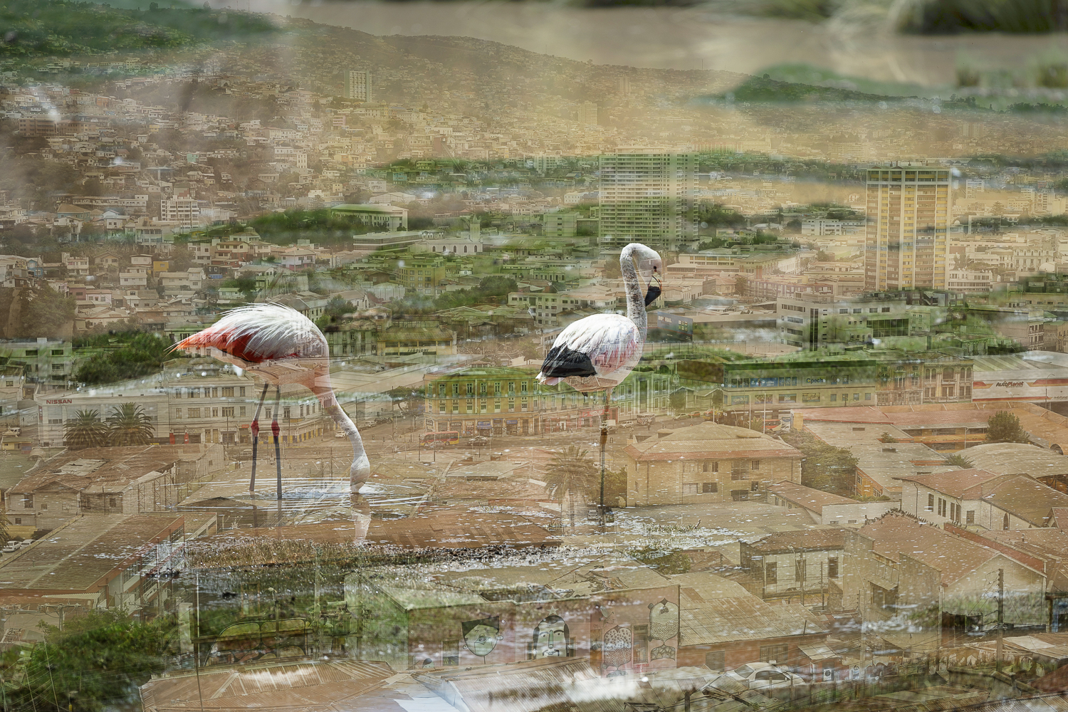 COCHET 01-Valparaiso%20pieds%20dans%20l%27eau-01