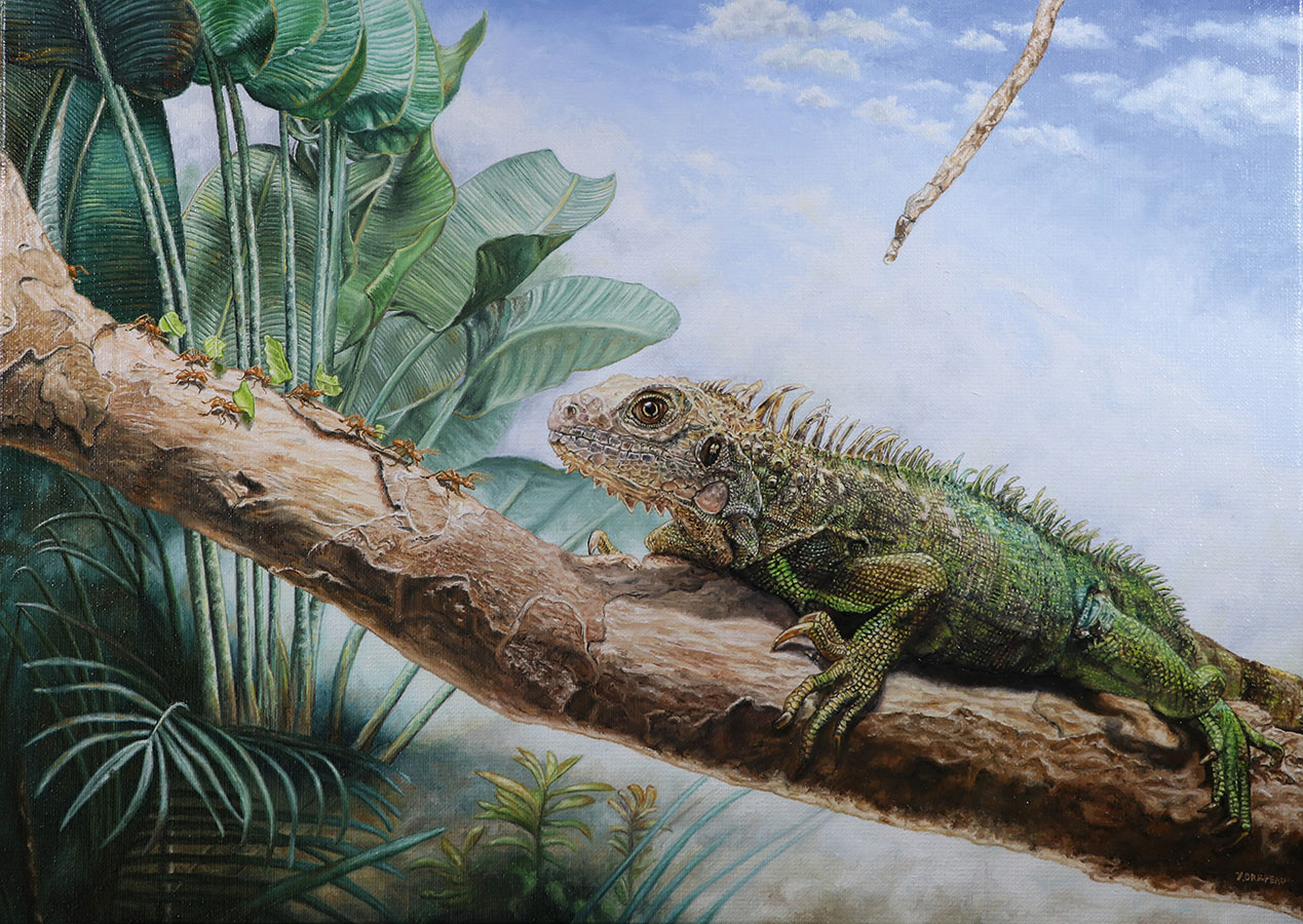 DRAPEAU 01-Interruption-de-la-logistique-01-HD