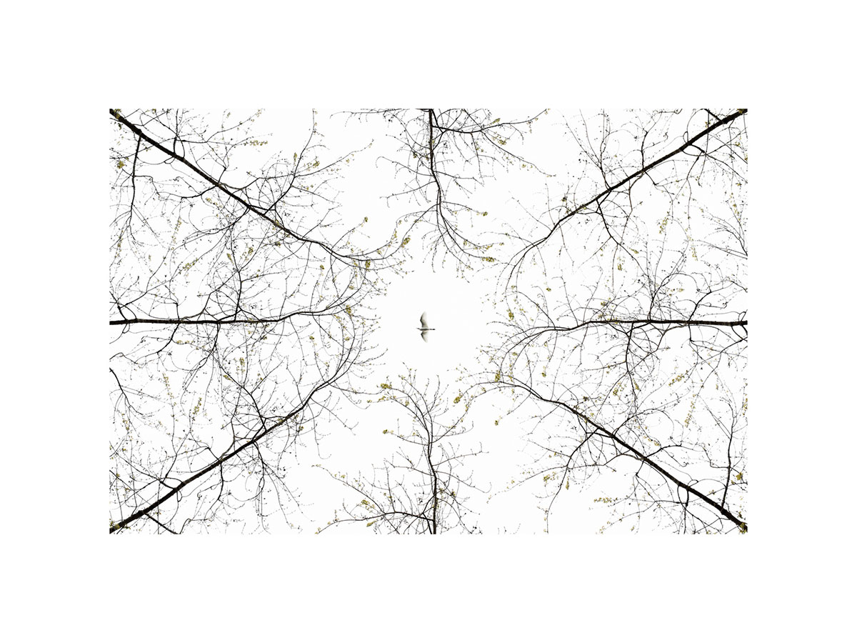 DRAPEAU 01-Interruption-de-la-logistique-01-HD