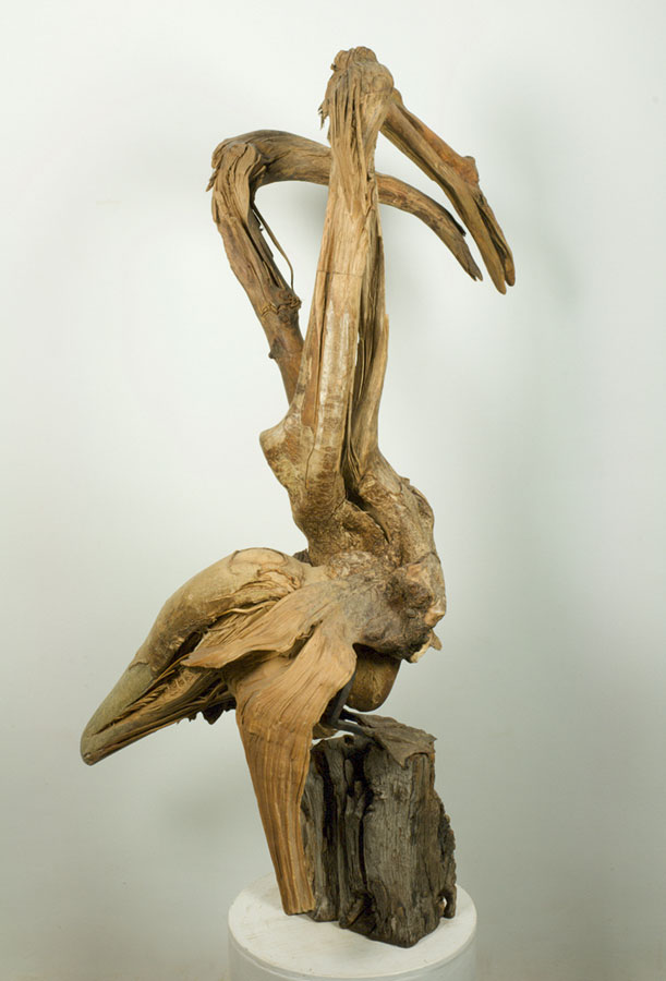 IBLED 01-O-65-Parade-Nuptiale-01-HD