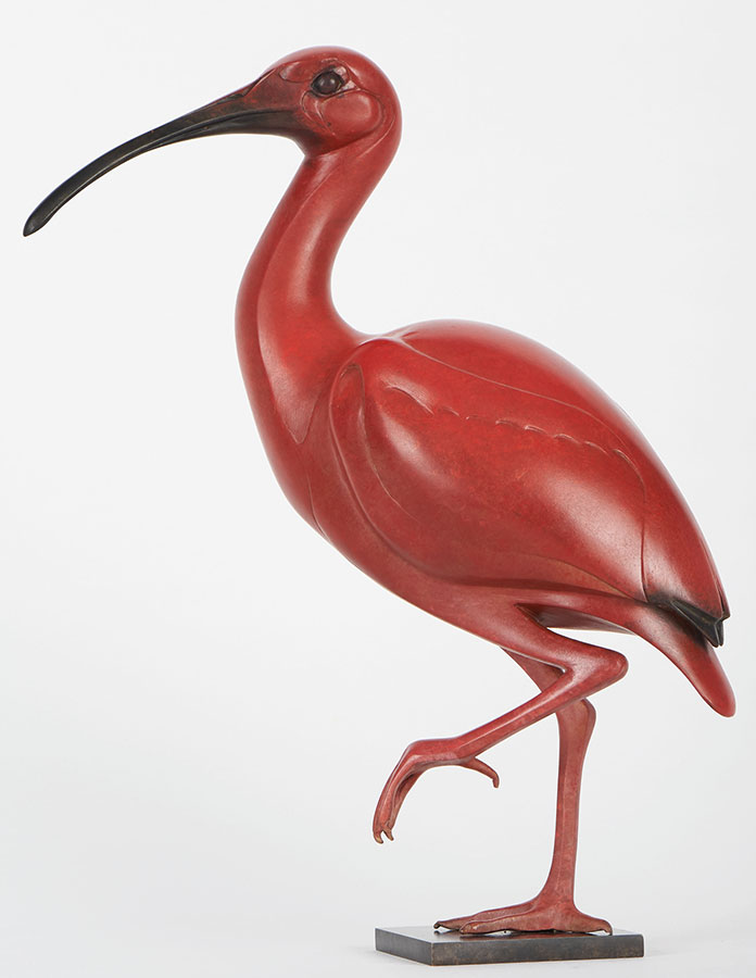 PORRAS 01-IBIS-ROUGE-01-HD