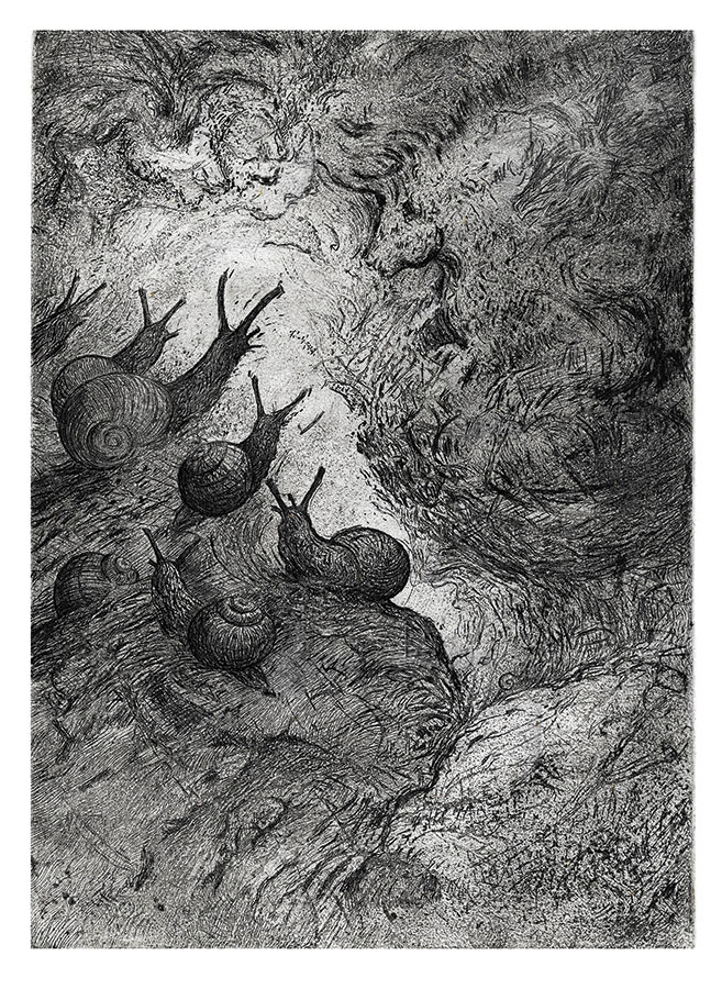 TOURNON 01-RENCONTRE-01-HD