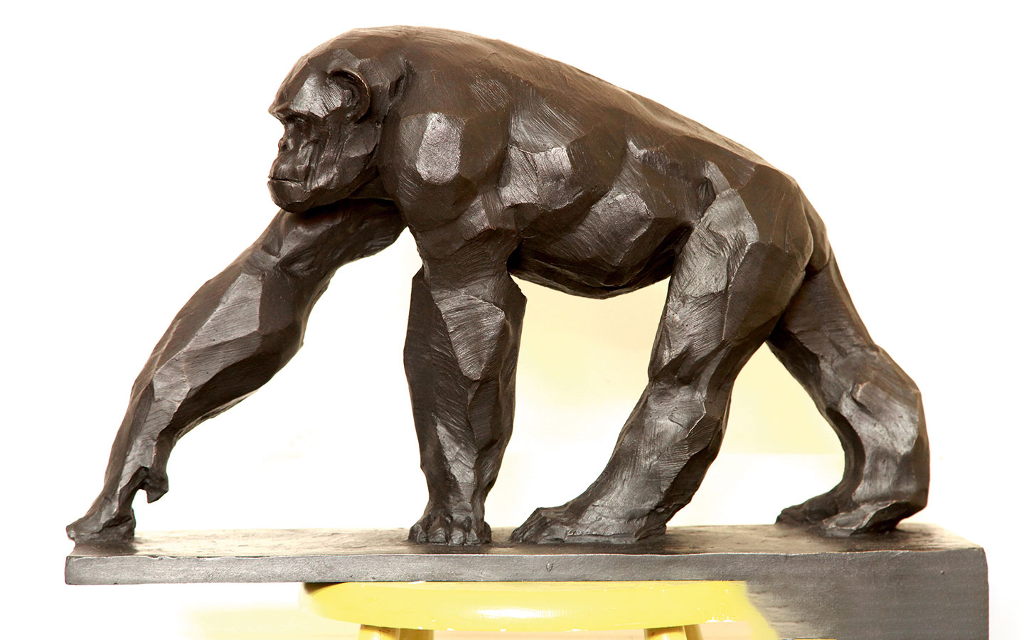 VENDAMME 01-Chimpanze-en-marche-01-HD