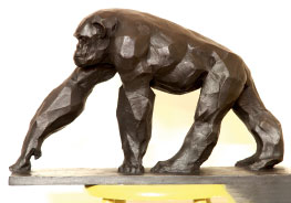 COLCOMBET 02-Bisons-d%27Amérique-au-galop-01_th